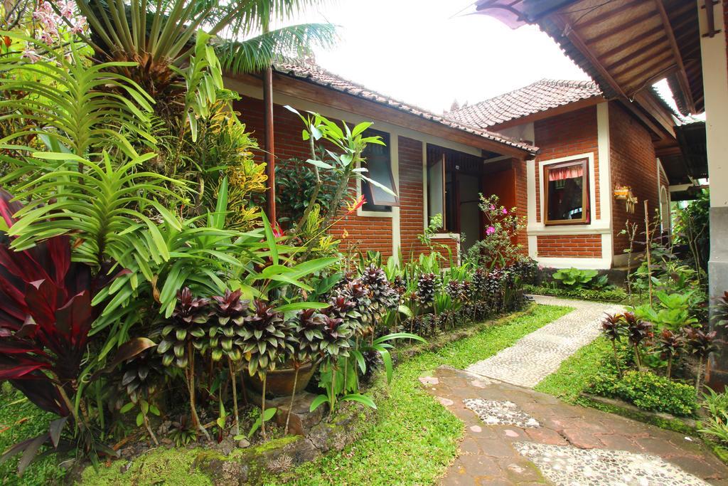 Made Homestay Munduk Zewnętrze zdjęcie