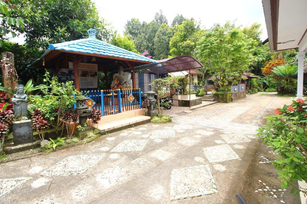 Made Homestay Munduk Zewnętrze zdjęcie